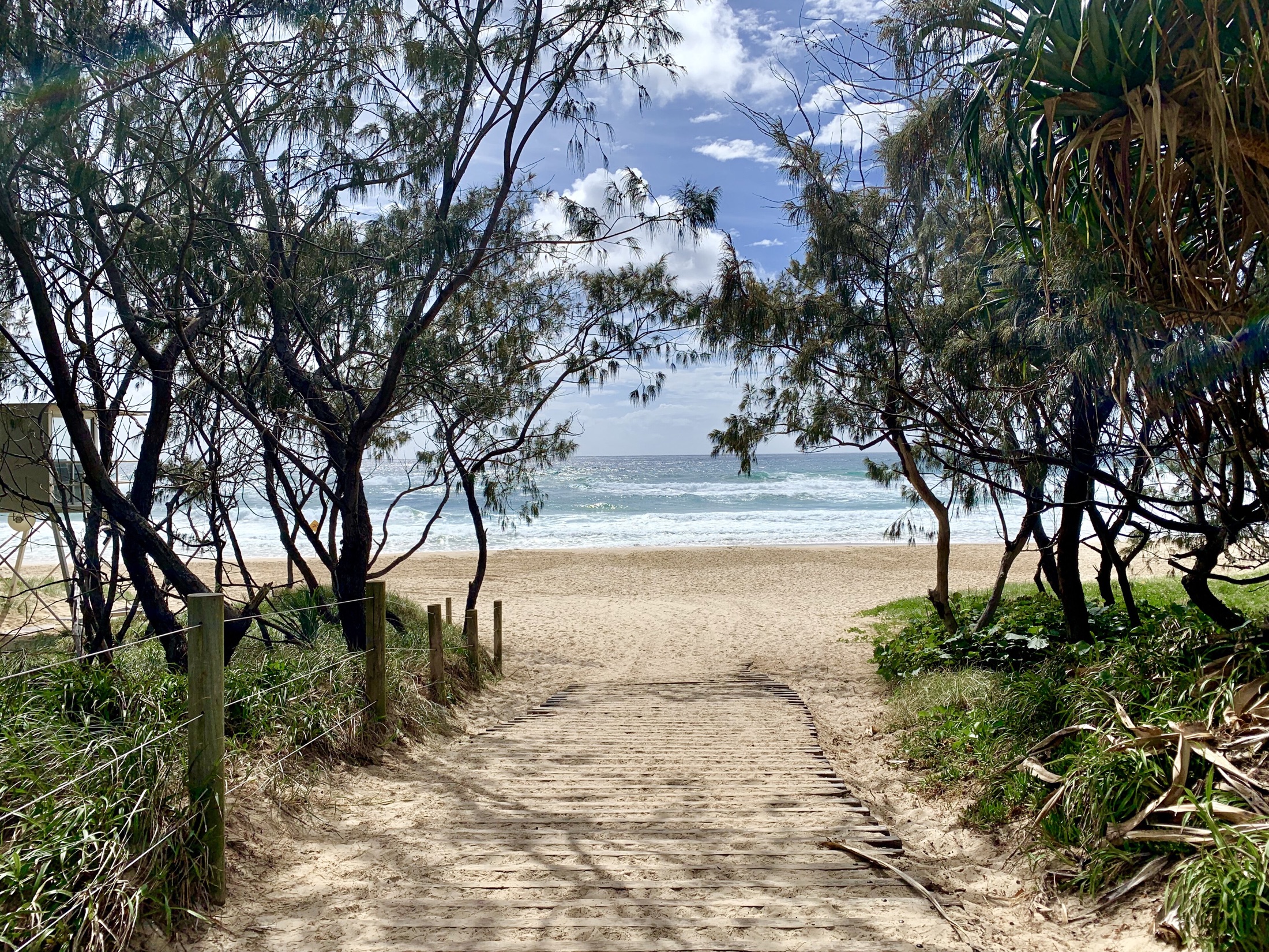 A sandy path through coastal trees opening onto Salt Beach